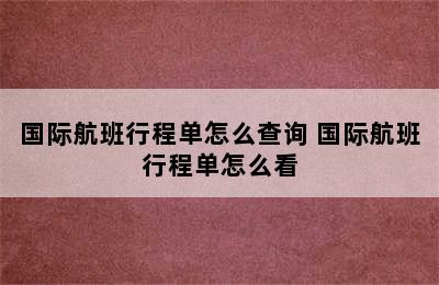 国际航班行程单怎么查询 国际航班行程单怎么看